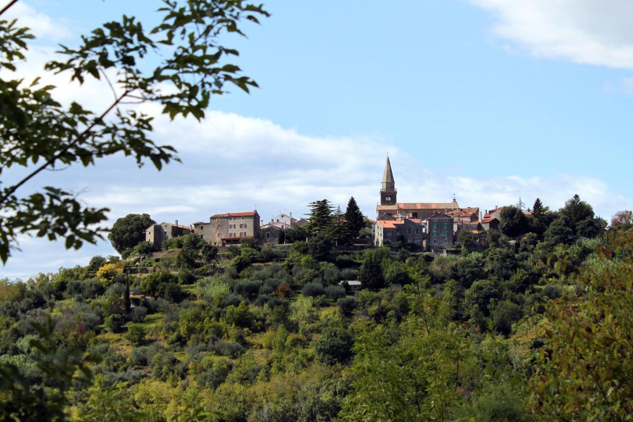 Apartments With Wifi Groznjan, Central Istria - Sredisnja Istra - 7038 Экстерьер фото